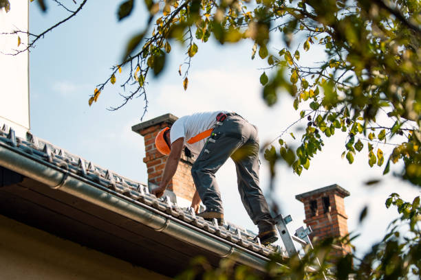 Roof Installation Near Me in Bethany, IL