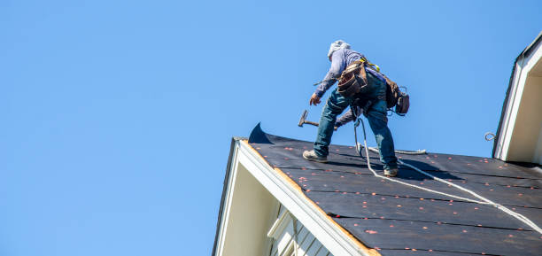 Best Roof Maintenance Services  in Bethany, IL